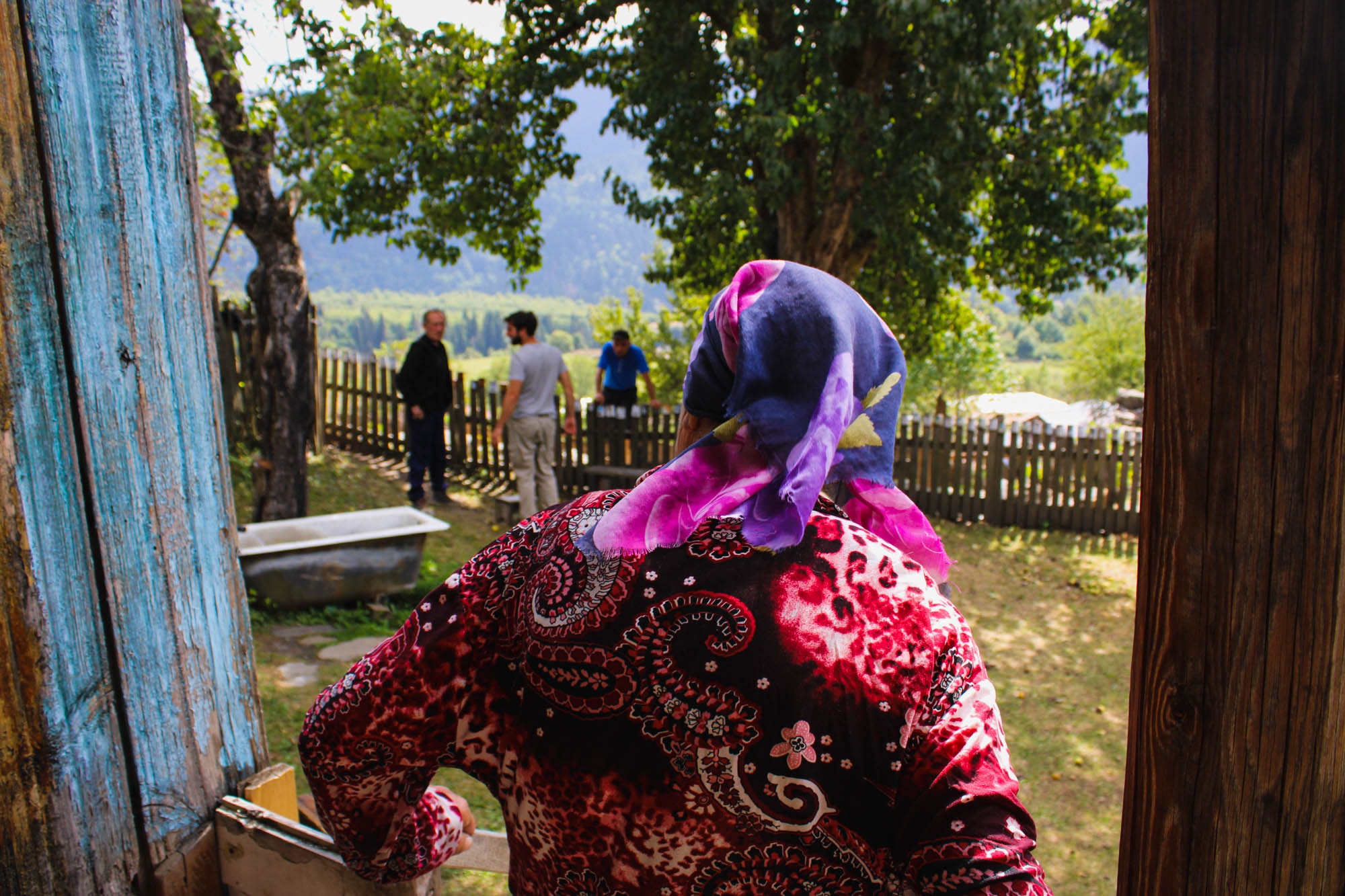 Dariko Pharijani