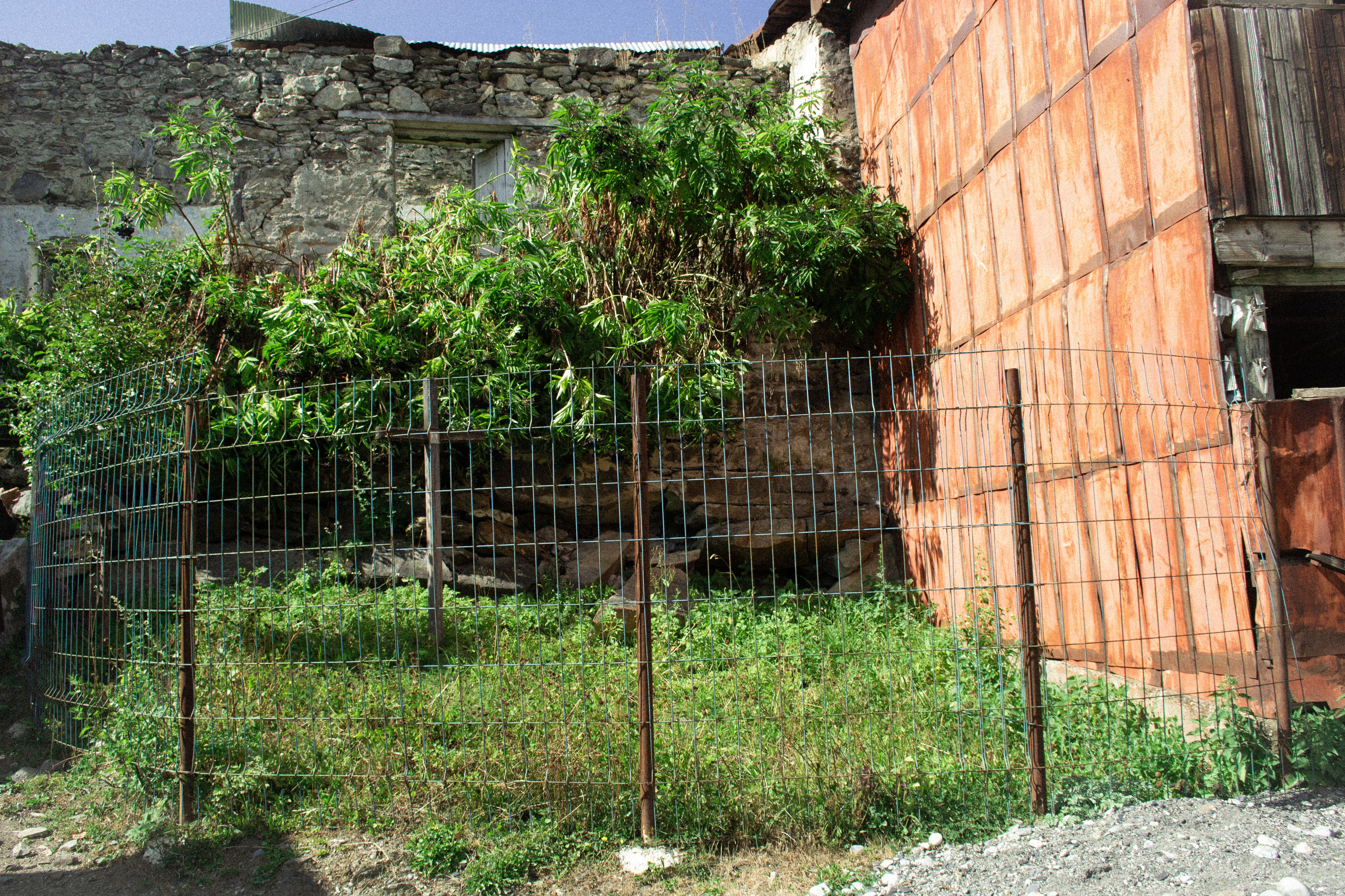 Zagraali