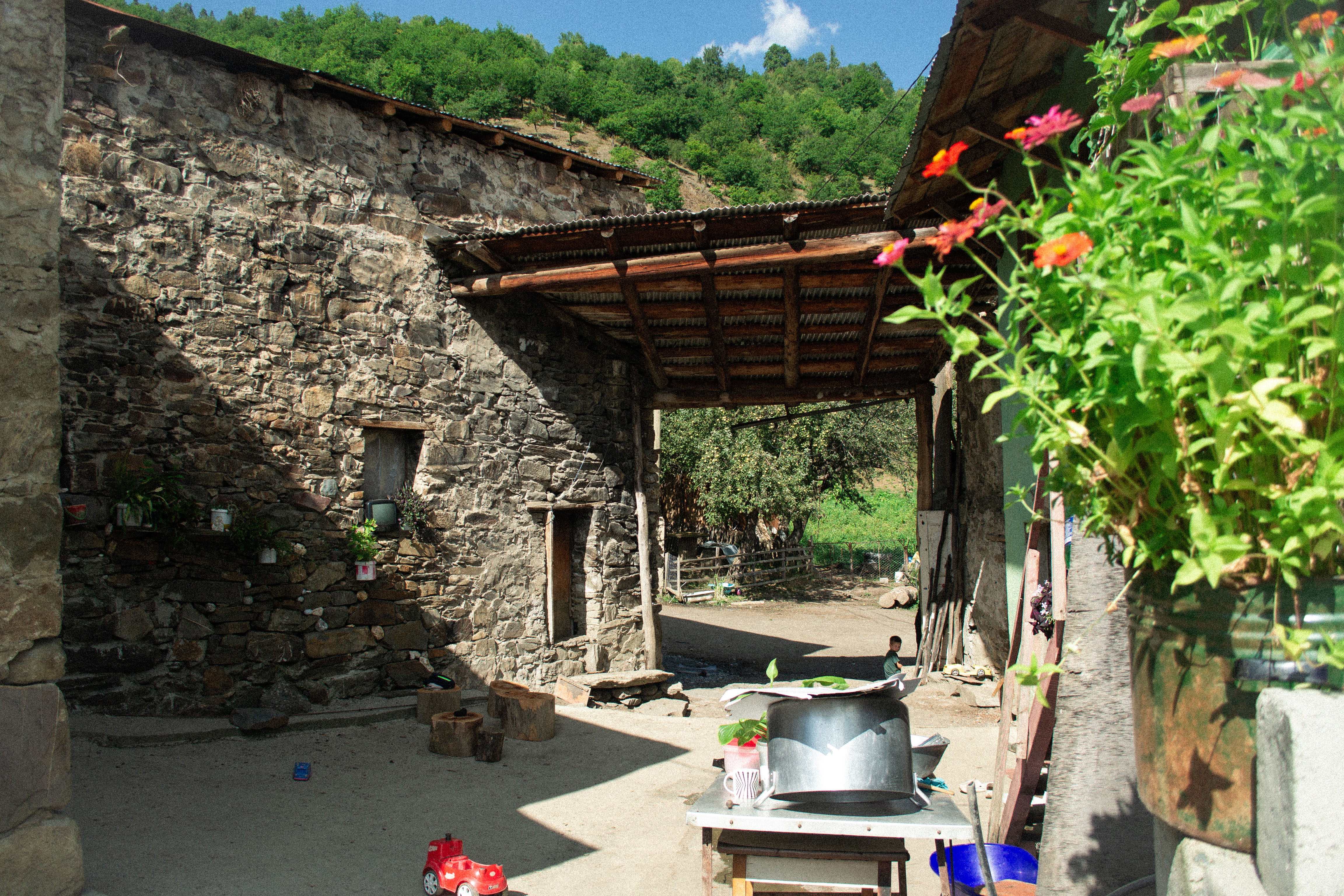 Zagraali